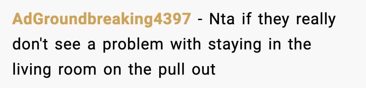 AdGroundbreaking4397 − Nta if they really don't see a problem with staying in the living room on the pull out