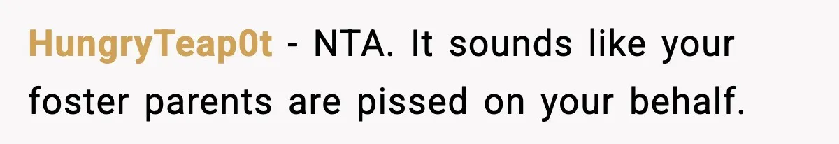 HungryTeap0t − NTA. It sounds like your foster parents are pissed on your behalf.