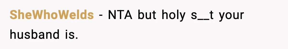 SheWhoWelds − NTA but holy s__t your husband is.