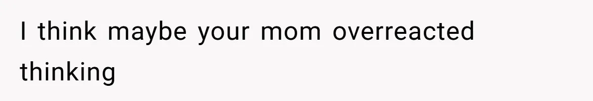 I think maybe your mom overreacted thinking