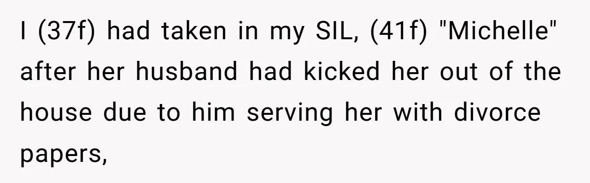 I (37f) had taken in my SIL, (41f) "Michelle" after her husband had kicked her out of the house due to him serving her with divorce papers,
