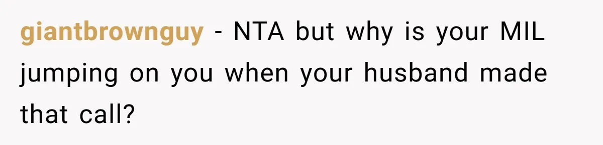 giantbrownguy − NTA but why is your MIL jumping on you when your husband made that call?