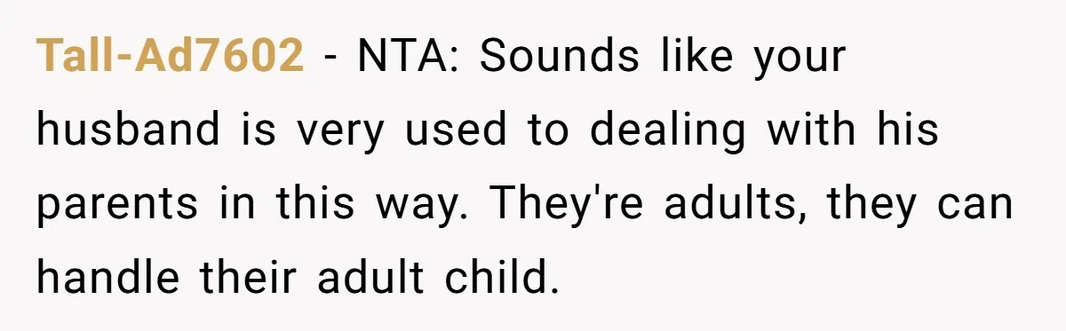 Tall-Ad7602 − NTA: Sounds like your husband is very used to dealing with his parents in this way. They're adults, they can handle their adult child.