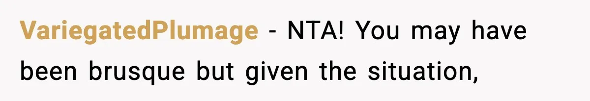 VariegatedPlumage − NTA! You may have been brusque but given the situation,