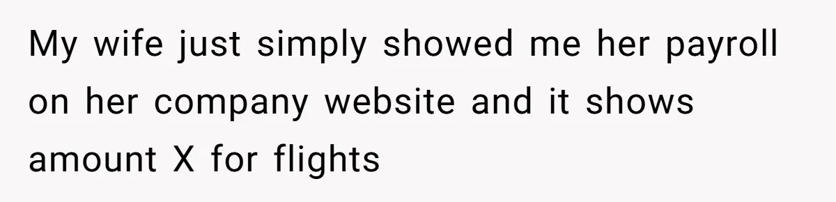 My wife just simply showed me her payroll on her company website and it shows amount X for flights