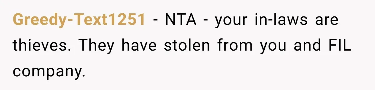 Greedy-Text1251 − NTA - your in-laws are thieves. They have stolen from you and FIL company.