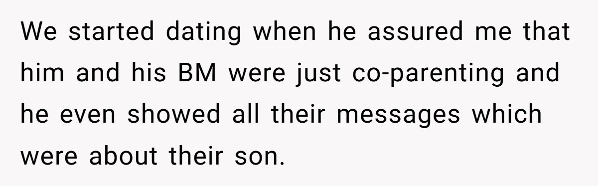 We started dating when he assured me that him and his BM were just co-parenting and he even showed all their messages which were about their son.