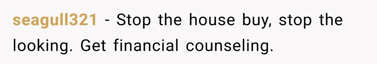 seagull321 − Stop the house buy, stop the looking. Get financial counseling.