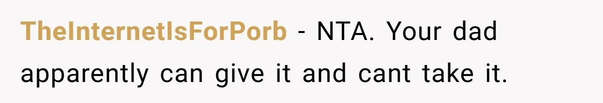 TheInternetIsForPorb − NTA. Your dad apparently can give it and cant take it.