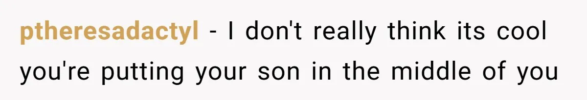 Father Calls Out Ex-Wife For “Using” Child Support And Now Son Is Caught In The Middle ptheresadactyl − I don't really think its cool you're putting your son in the middle of you