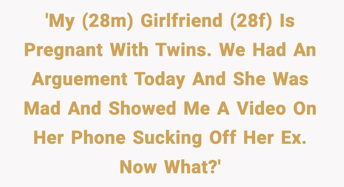 'My (28M) girlfriend (28F) is pregnant with twins. We had an arguement today and she was mad and showed me a video on her phone sucking off her ex. Now...