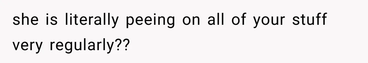 she is literally peeing on all of your stuff very regularly??