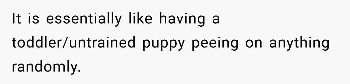 It is essentially like having a toddler/untrained puppy peeing on anything randomly.