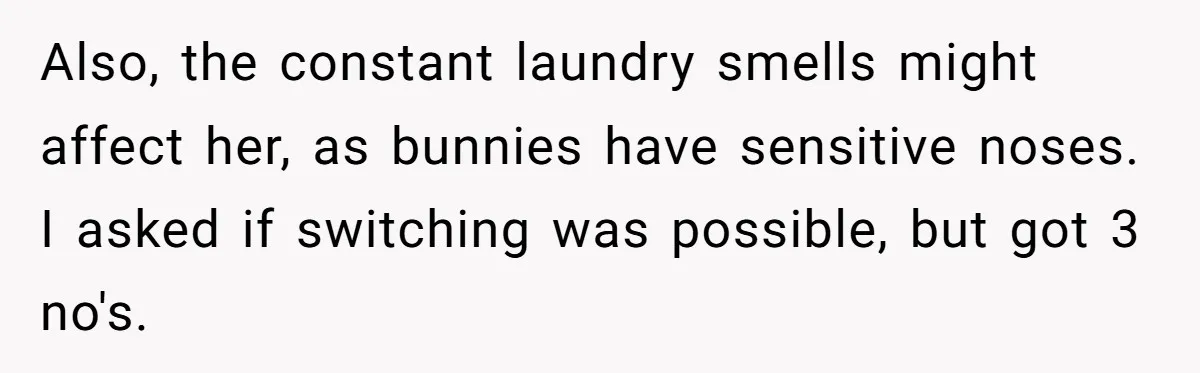 Also, the constant laundry smells might affect her, as bunnies have sensitive noses. I asked if switching was possible, but got 3 no's.