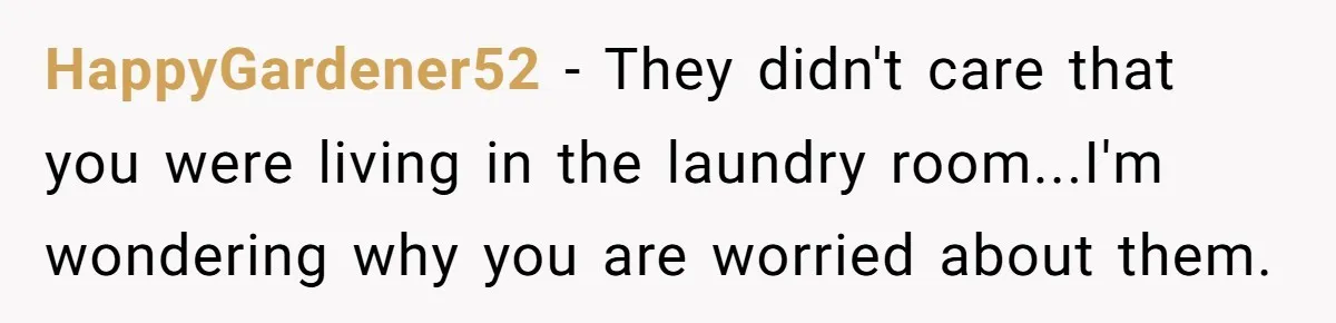 HappyGardener52 − They didn't care that you were living in the laundry room...I'm wondering why you are worried about them.
