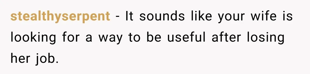 stealthyserpent − It sounds like your wife is looking for a way to be useful after losing her job.