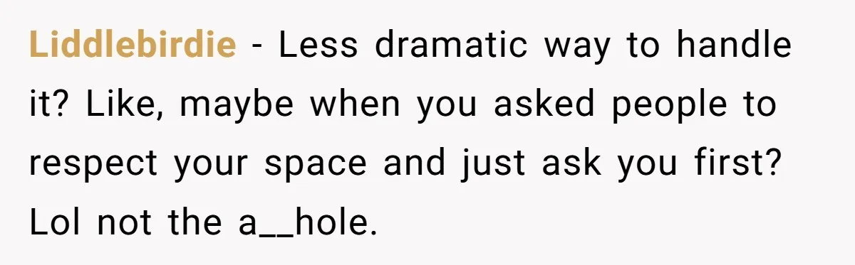 Liddlebirdie − Less dramatic way to handle it? Like, maybe when you asked people to respect your space and just ask you first? Lol not the a__hole.