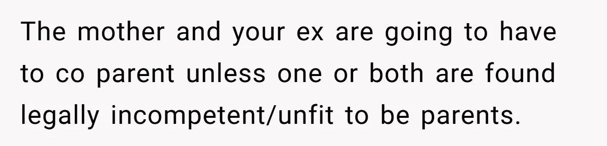 The mother and your ex are going to have to co parent unless one or both are found legally incompetent/unfit to be parents.