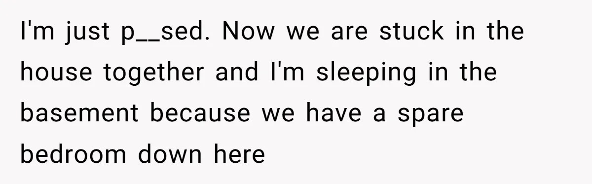 I'm just p__sed. Now we are stuck in the house together and I'm sleeping in the basement because we have a spare bedroom down here