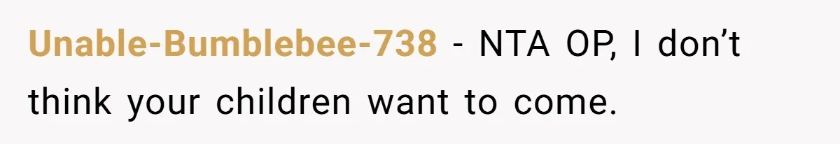 Unable-Bumblebee-738 − NTA OP, I don’t think your children want to come.