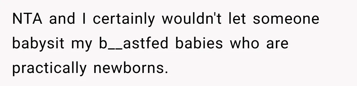 NTA and I certainly wouldn't let someone babysit my b__astfed babies who are practically newborns.