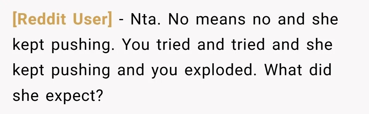[Reddit User] − Nta. No means no and she kept pushing. You tried and tried and she kept pushing and you exploded. What did she expect?