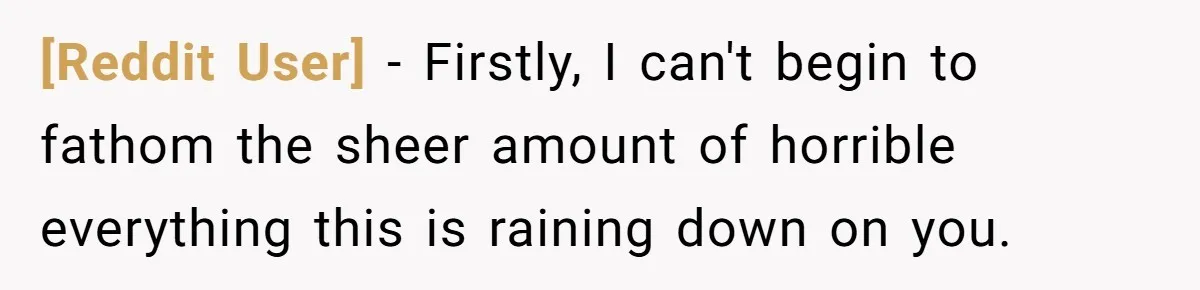 [Reddit User] − Firstly, I can't begin to fathom the sheer amount of horrible everything this is raining down on you.