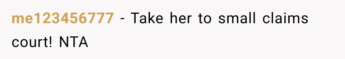 me123456777 − Take her to small claims court! NTA