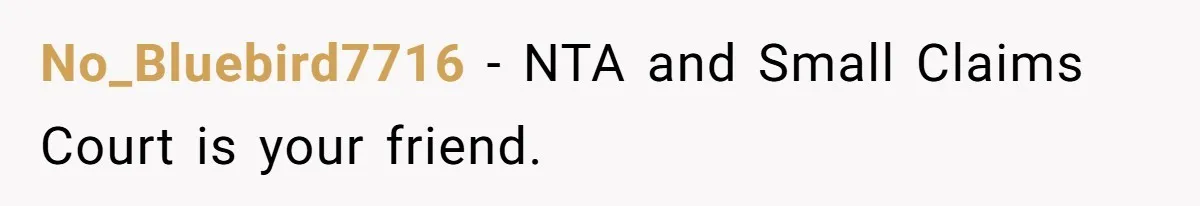No_Bluebird7716 − NTA and Small Claims Court is your friend.