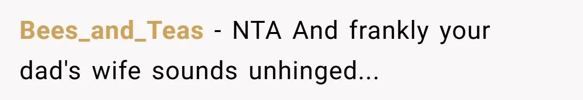 Bees_and_Teas − NTA And frankly your dad's wife sounds unhinged...