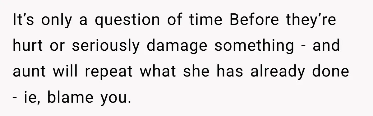 It’s only a question of time Before they’re hurt or seriously damage something - and aunt will repeat what she has already done - ie, blame you.