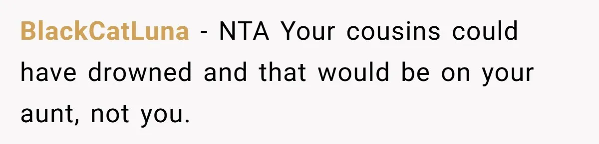 BlackCatLuna − NTA Your cousins could have drowned and that would be on your aunt, not you.