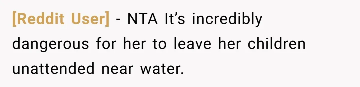 [Reddit User] − NTA It’s incredibly dangerous for her to leave her children unattended near water.