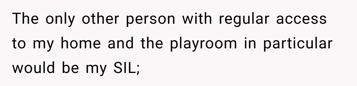The only other person with regular access to my home and the playroom in particular would be my SIL;