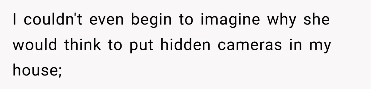 I couldn't even begin to imagine why she would think to put hidden cameras in my house;