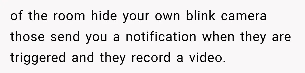 of the room hide your own blink camera those send you a notification when they are triggered and they record a video.
