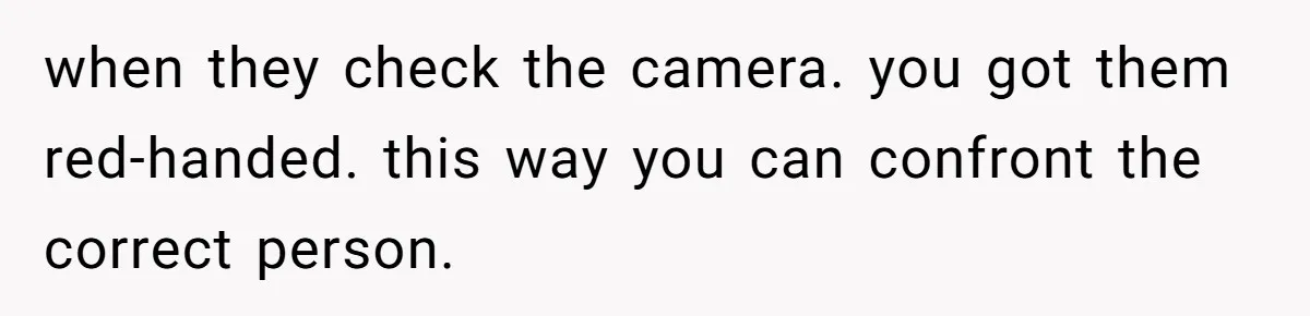 when they check the camera. you got them red-handed. this way you can confront the correct person.