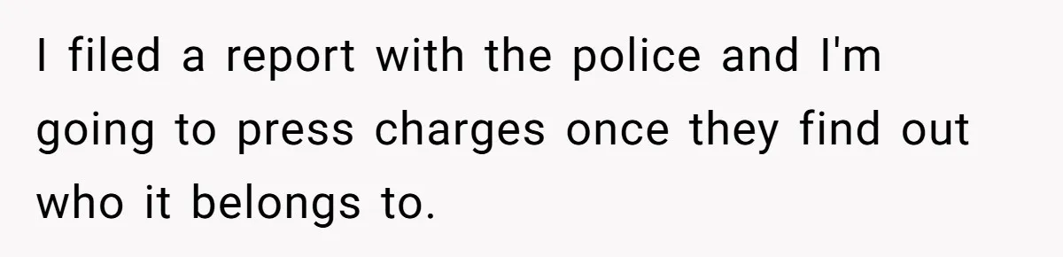 I filed a report with the police and I'm going to press charges once they find out who it belongs to.