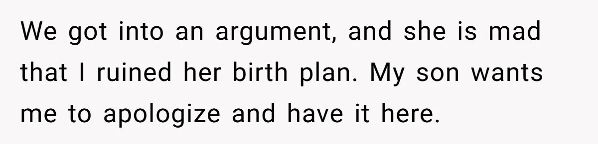 We got into an argument, and she is mad that I ruined her birth plan. My son wants me to apologize and have it here.