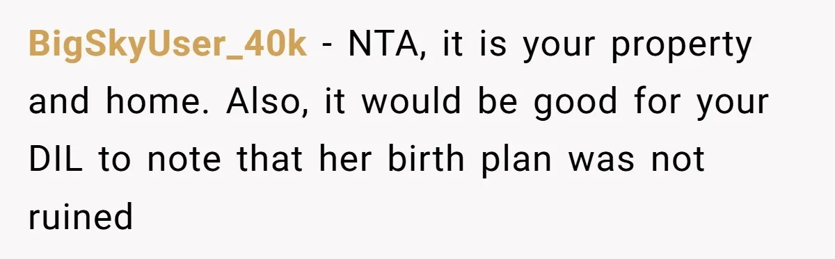 BigSkyUser_40k − NTA, it is your property and home. Also, it would be good for your DIL to note that her birth plan was not ruined