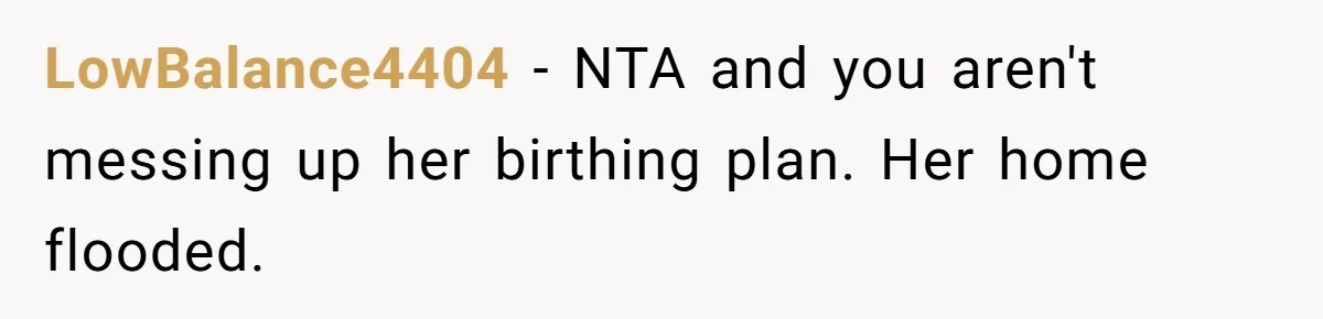 LowBalance4404 − NTA and you aren't messing up her birthing plan. Her home flooded.