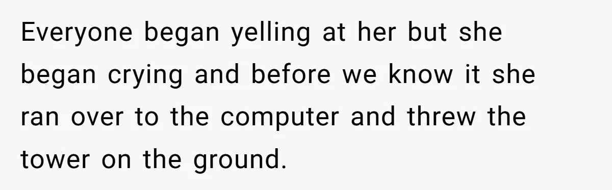 Everyone began yelling at her but she began crying and before we know it she ran over to the computer and threw the tower on the ground.
