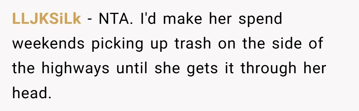 LLJKSiLk − NTA. I'd make her spend weekends picking up trash on the side of the highways until she gets it through her head.