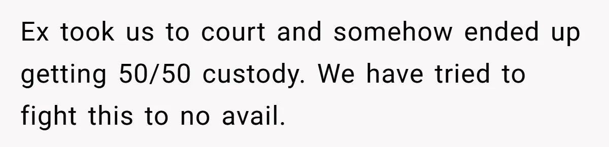 Ex took us to court and somehow ended up getting 50/50 custody. We have tried to fight this to no avail.