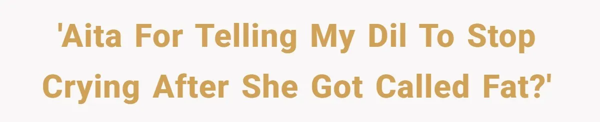 'AITA for telling my DIL to stop crying after she got called fat?'
