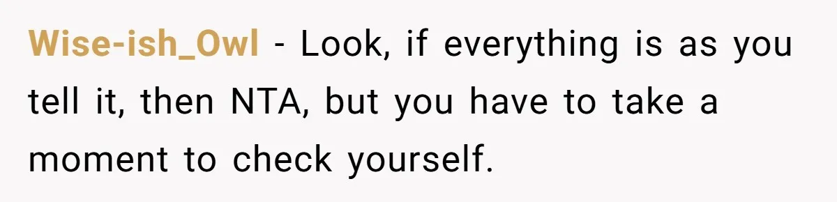 Wise-ish_Owl − Look, if everything is as you tell it, then NTA, but you have to take a moment to check yourself.