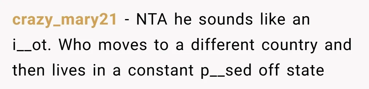 crazy_mary21 − NTA he sounds like an i__ot. Who moves to a different country and then lives in a constant p__sed off state