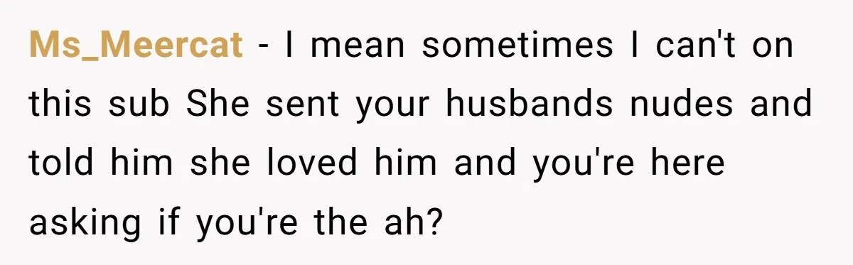 Ms_Meercat − I mean sometimes I can't on this sub She sent your husbands nudes and told him she loved him and you're here asking if you're the ah?
