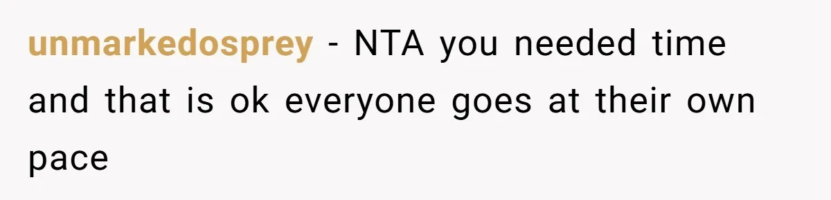 unmarkedosprey − NTA you needed time and that is ok everyone goes at their own pace
