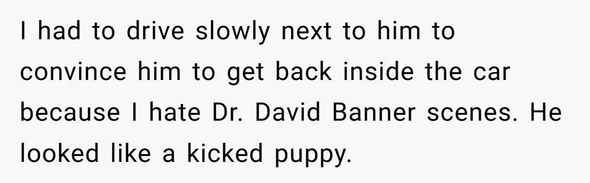 I had to drive slowly next to him to convince him to get back inside the car because I hate Dr. David Banner scenes. He looked like a kicked puppy.